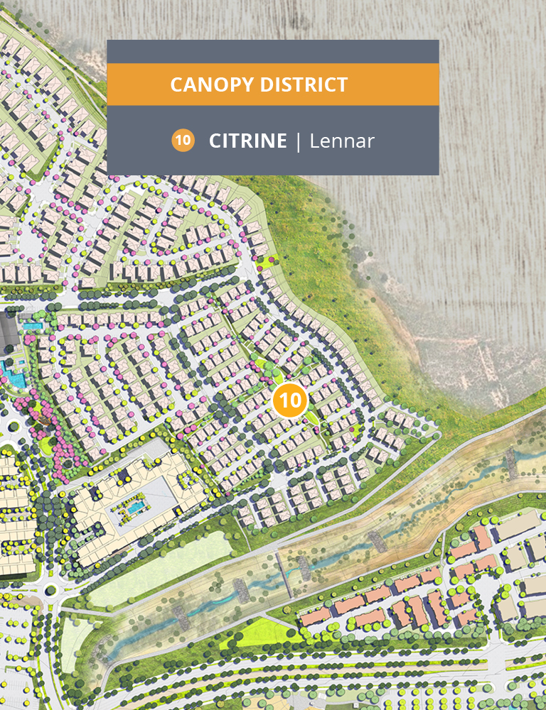 Citrine Desktop Neighborhood Map